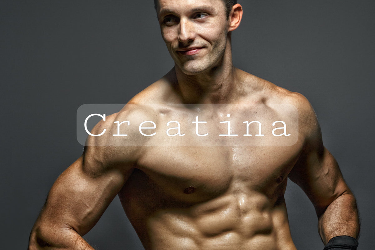 Creatina